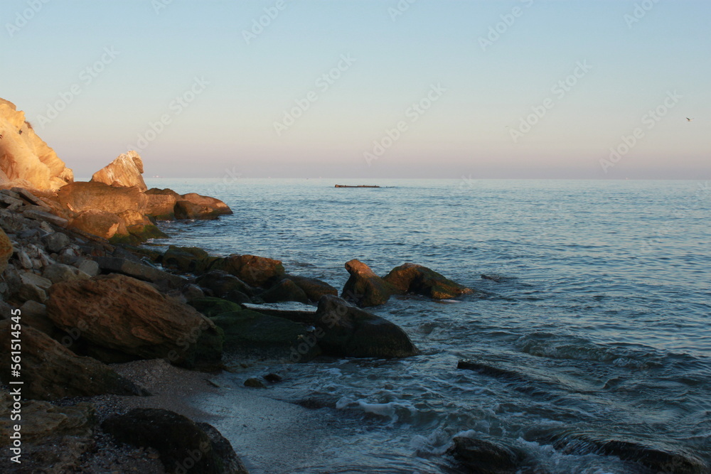 Black sea with seagulls and stones Black sea with seagulls and stones