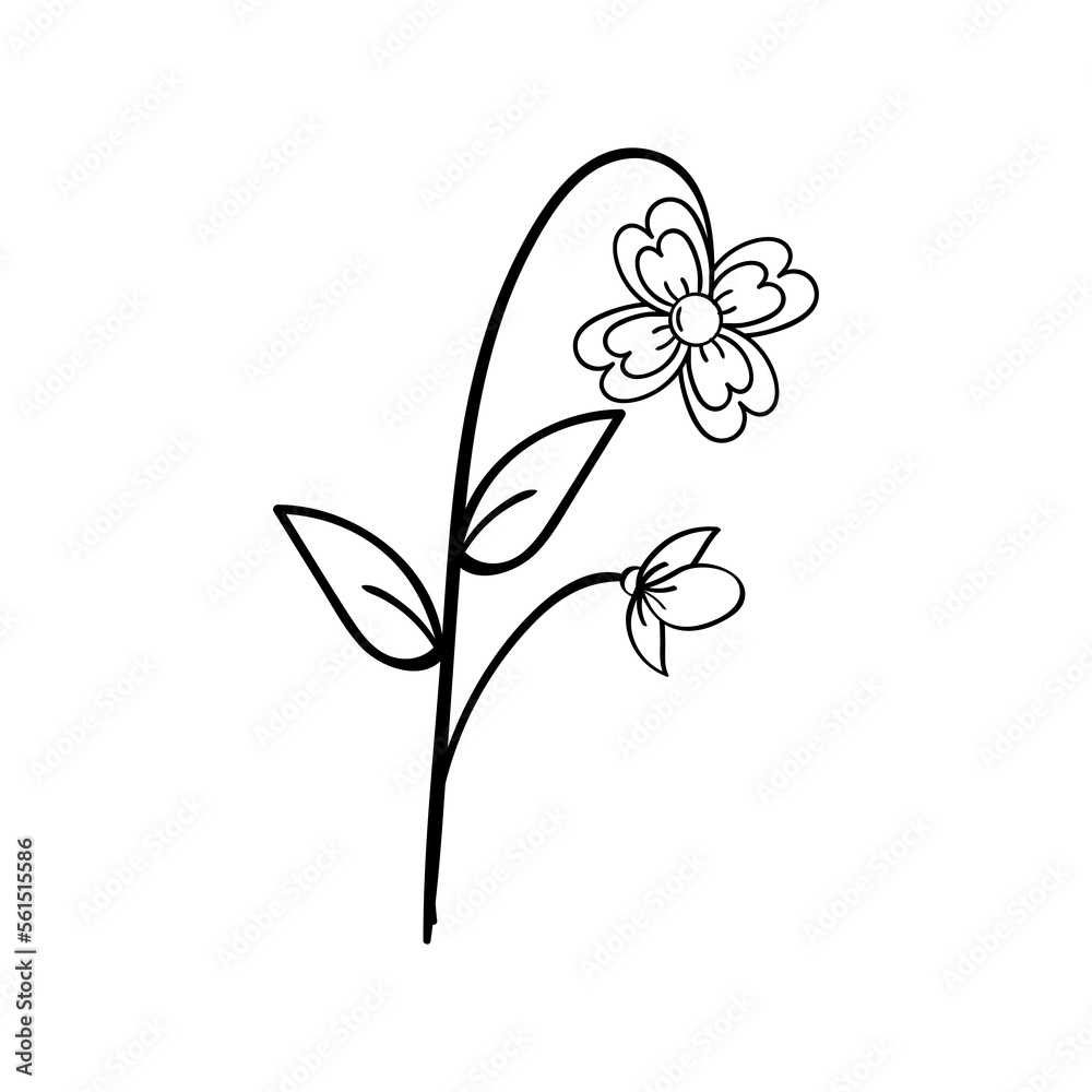 Fototapeta premium Hand Drawing Leaves and Flower Element