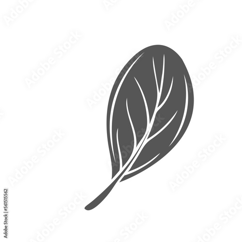 Salad leaf glyph icon vector illustration. Silhouette of raw plants and healthy leaf vegetable, levitation and flight of natural organic leaves for cooking vitamin vegetarian dish, herb ingredient