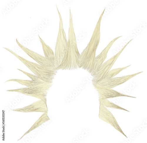shaggy man hairstyle blond colour.beauty style.high hair styling .