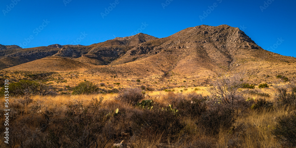 Guadalupe Mountains National Park wilderness landscape, with views of Guadalupe Peak over the arid plants on Pine Springs Meadow in Salt Flat, Texas, USA
