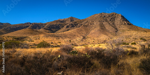 Guadalupe Mountains National Park wilderness landscape, with views of Guadalupe Peak over the arid plants on Pine Springs Meadow in Salt Flat, Texas, USA