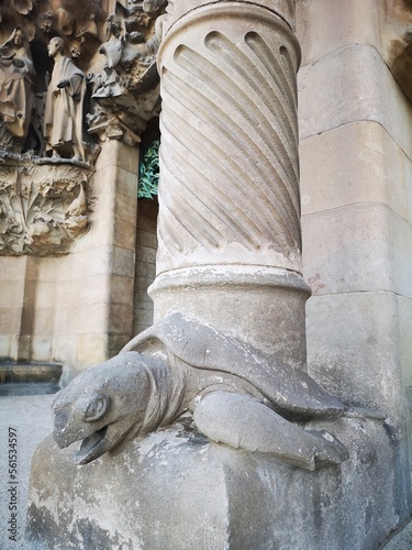 TURTLE IN COLUMN OF CHURCH