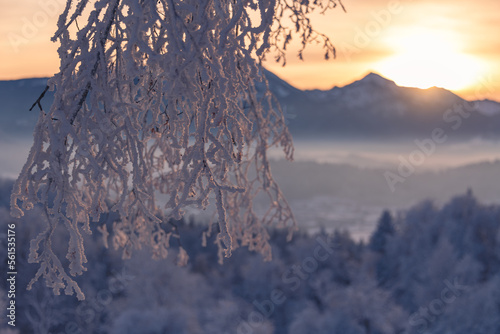 Frosty Sunset In The Chiemgau Alps photo