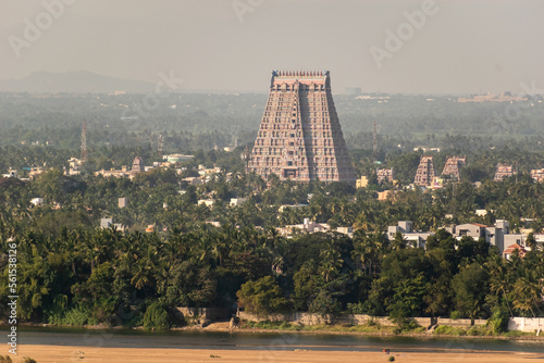 An aerial view of the tall gopuram tower of the Sri Ranganathaswamy temple and its green surroundings in the town of Srirangam from Trichy.