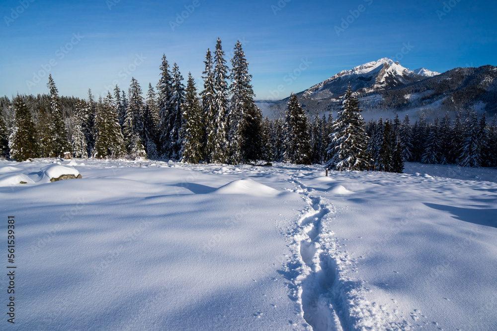 Footprints in the snow, deep snow, Tatra Mountains