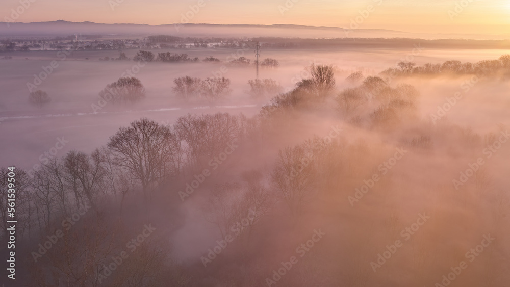 Trees and houses rising out of the ground fog in a floodplain forest landscape. Pastel colours of sunrise, warm tones, ground fog, frosty morning. Winter without snow, Czech Republic.