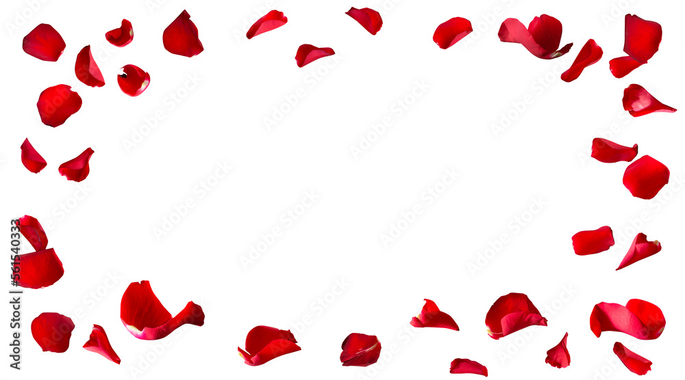 Red rose petals fly for valentines day. Background for love greetings with isolated rose petals. png/d.e. - obrazy, fototapety, plakaty 