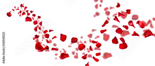 Rose petals fly for valentines day. Background for love greetings with isolated red rose petals. png/d.e.