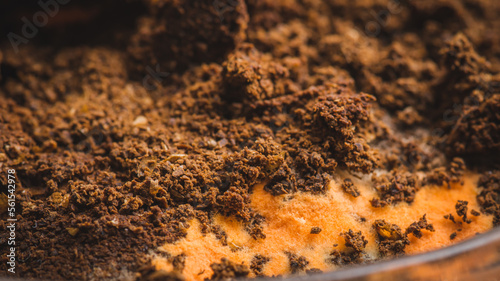 Multicolored mold on a food surface. Close-up of colorful growth mustiness mushrooms on a food. Green mold Penicillium expansum. Selective focus.