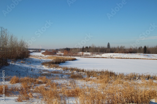 Winter Wetlands, Pylypow Wetlands, Edmonton, Alberta © Michael Mamoon