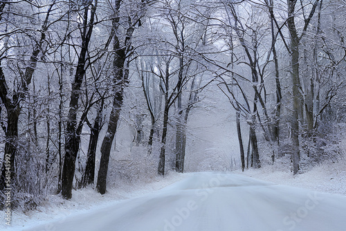 road in winter forest created with Generative AI technology