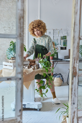 фотографія Full length shot of woman botanist replants flowers for home garden poses in cozy home room has serious expression dressed casually