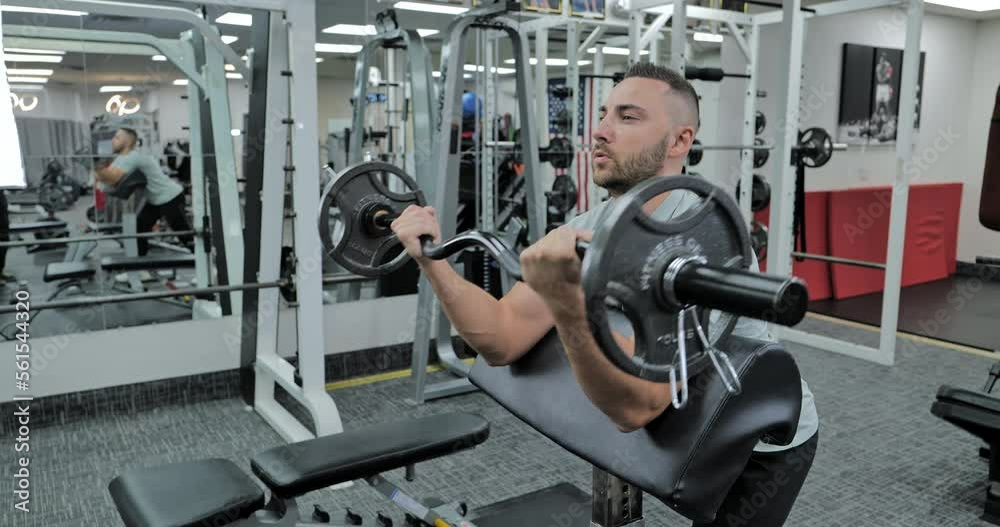 Muscular Athletes Actively Training in the Modern Gym Muscular Athletes Actively Training in the Modern Gym