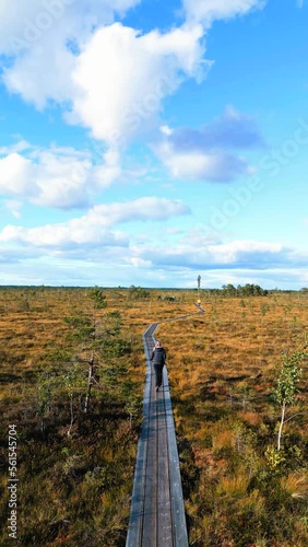 Vertical video: Woman walks on the path to the swamp