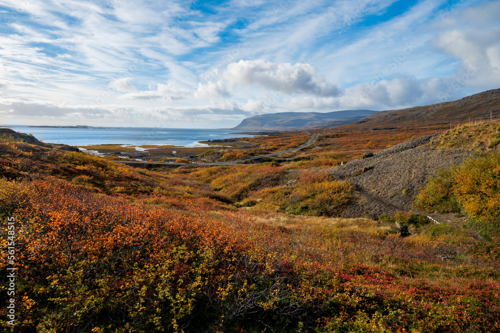 Beautiful view of fjord with autumn colors in the Westfjords in Iceland, Europe, stock photo