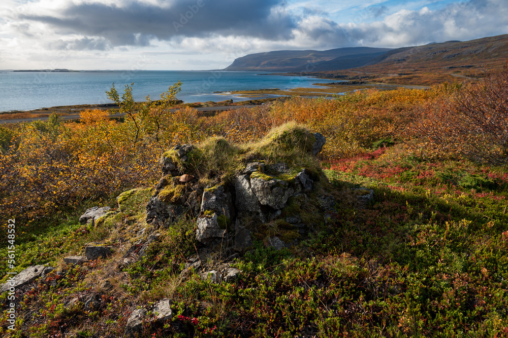 A big rock with a beautiful view in the Westfjords with autumn colors in Iceland, Europe