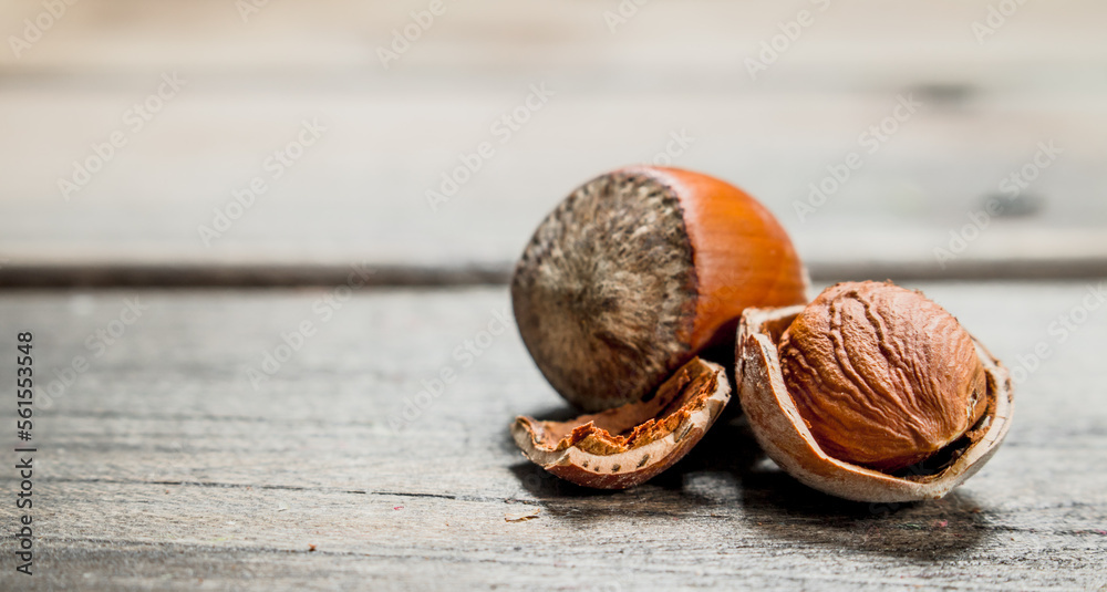 Fototapeta premium Hazelnut with shell .