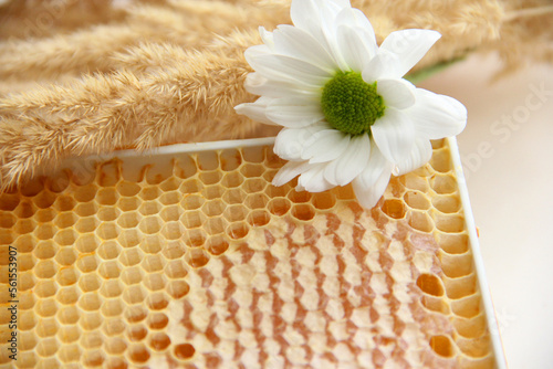 Flower honey in honeycomb close-up.Honeycomb with honey.