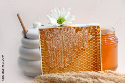 honeycomb with honey and a jar of honey with a wooden spoon. Honey in honeycombs