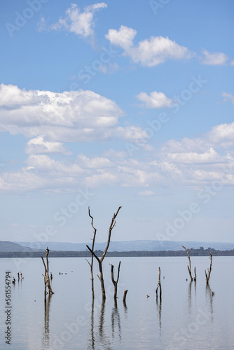 The scenery of Lake Naivasha © Alex