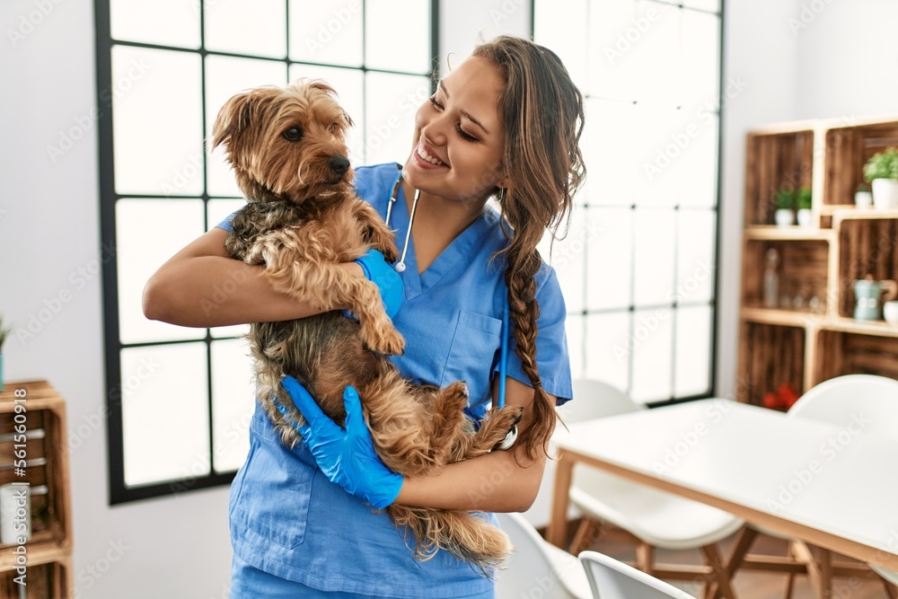 Young beautiful hispanic woman veterinarian smiling confident hugging dog at home Young beautiful hispanic woman veterinarian smiling confident hugging dog at home