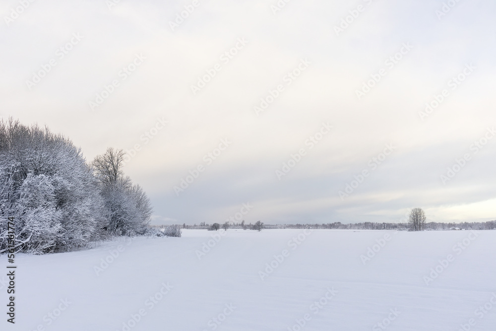 Winter nature view with almost the same colors of earth and sky where there are small trees on the horizon