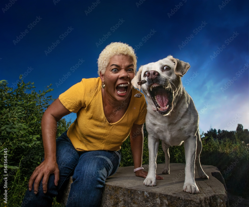 dog catching treats with owner dog catching treats with owner