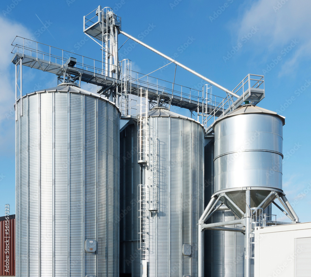 Silos agricoles de stockage ronds à fonds plats extérieurs en acier argenté avec équipements de traitements des grains Silos agricoles de stockage ronds à fonds plats extérieurs en acier argenté avec équipements de traitements des grains