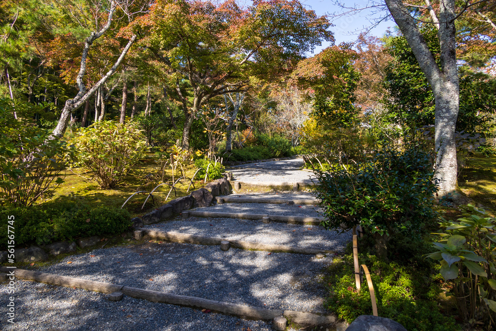 庭園