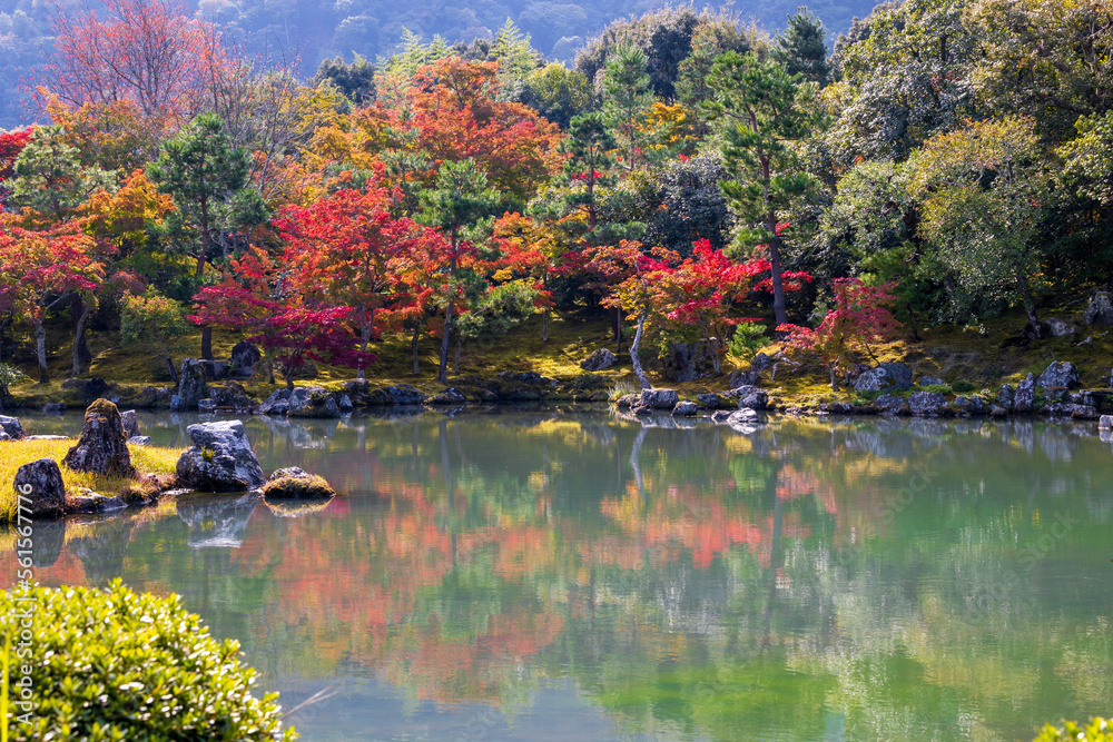 庭園