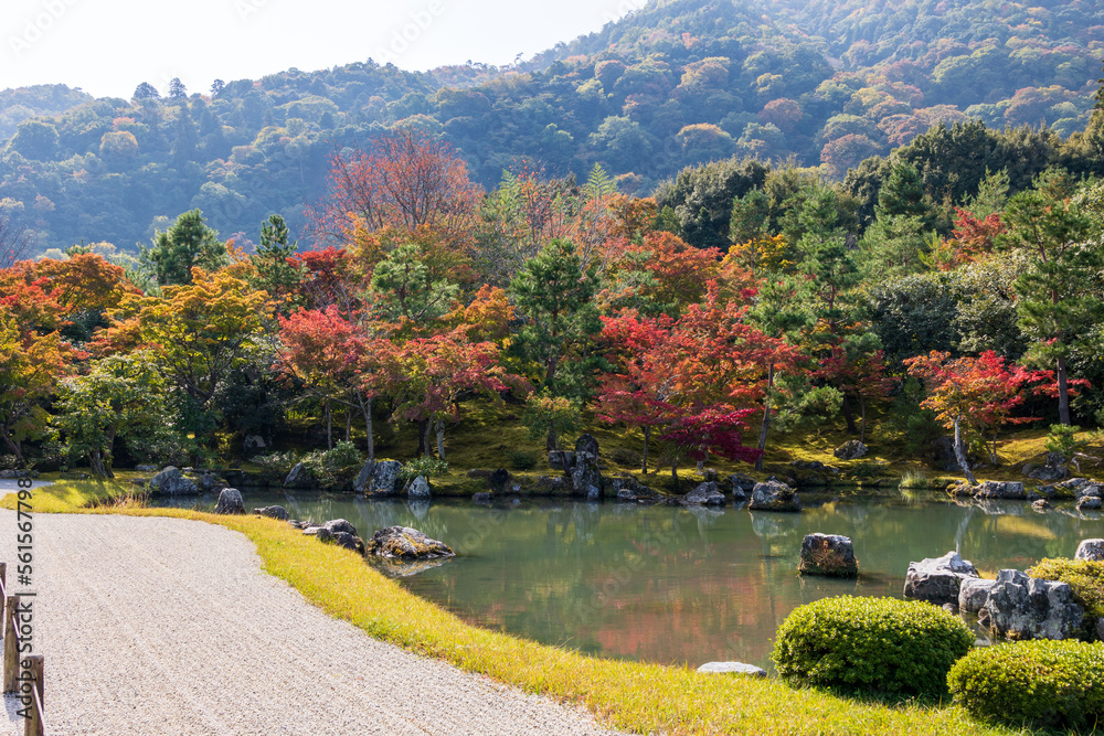 庭園