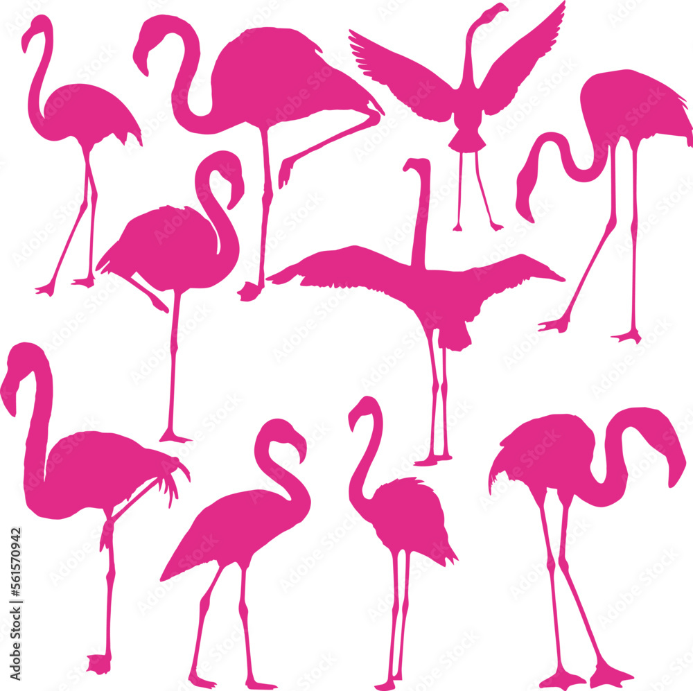 Naklejka premium Pink flamingo silhouette set, EPS Vector