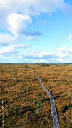 Vertical video: Path to swamp