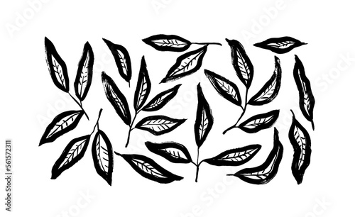 Abstract leaves with veins isolated on white background. Brush drawn black branches set. Vector foliage silhouettes. Botanical clip arts or sketchy elements. Eucalyptus or basil leaves, olive branches
