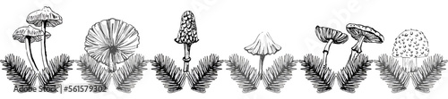 Bordo con foglie e funghi in fila  illustrazione nera isolata su sfondo bianco