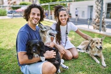 Man and woman couple smiling confident sitting on herb with dogs at park