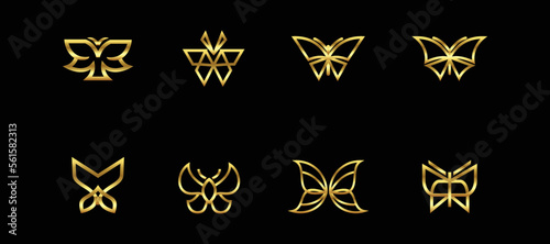 Set of Gold butterfly logo design inspiration vector