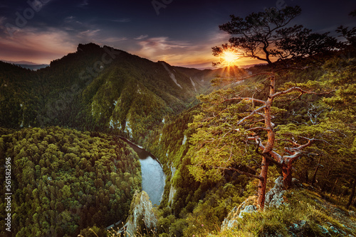 Sokolica - Pieniny photo