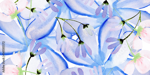 Tableau sur toile Sfondo floreale  miscuglio di fiori primaverili