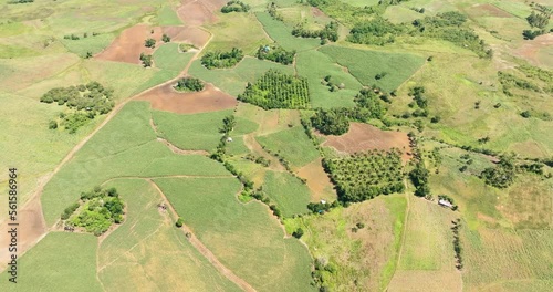 Aerial view of sugar cane hasvest plantation and farmland. Negros, Philippines photo