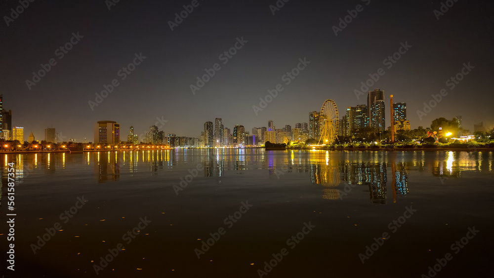 Obraz premium city skyline at night