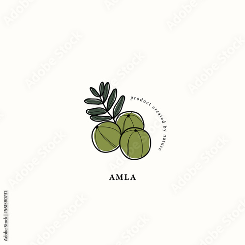 Line art amla branch drawing