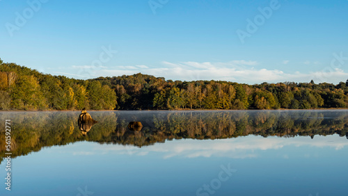  HDR Mirror of the forest in the Lac de Saint Pardoux at sunrise in autumn