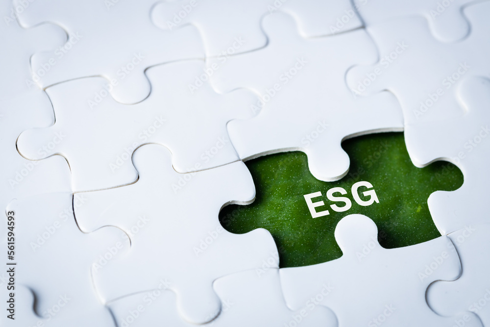 Fototapeta premium ESG environmental, social and governance concept. ESG word on a puzle, Idea for sustainable development of the organization. take into account the environment, society and corporate governance