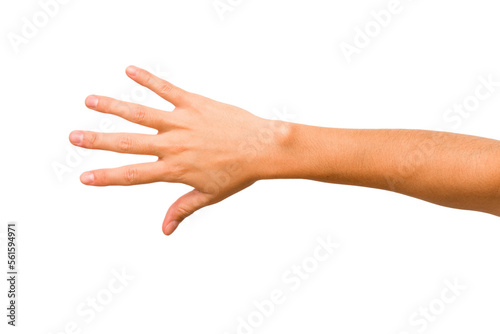 caucasian hands gesturing isolated on a white background