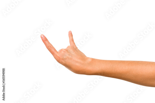 caucasian hands gesturing isolated on a white background © Asier