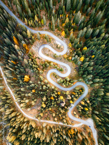 Aerial View of a Snake Road in the Forest during Autumn, Dolomites, Italy