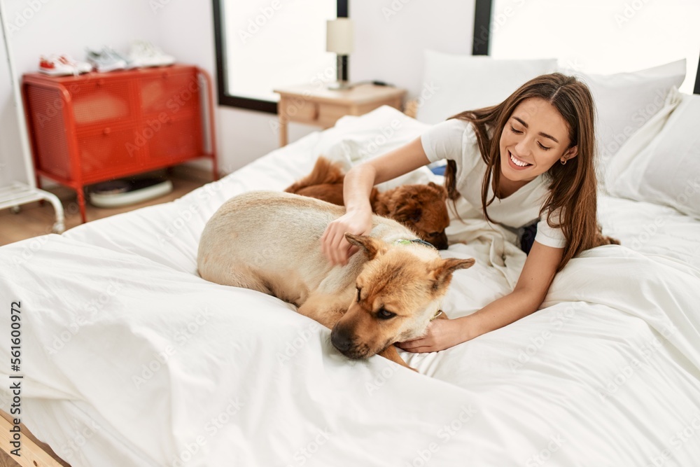 Young hispanic woman playing with dogs sitting on bed at bedroom Young hispanic woman playing with dogs sitting on bed at bedroom