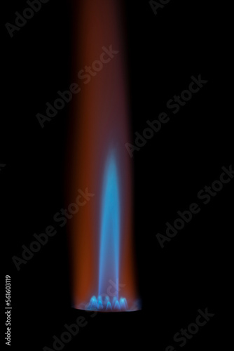 Flame of a gas stove on a black background close-up